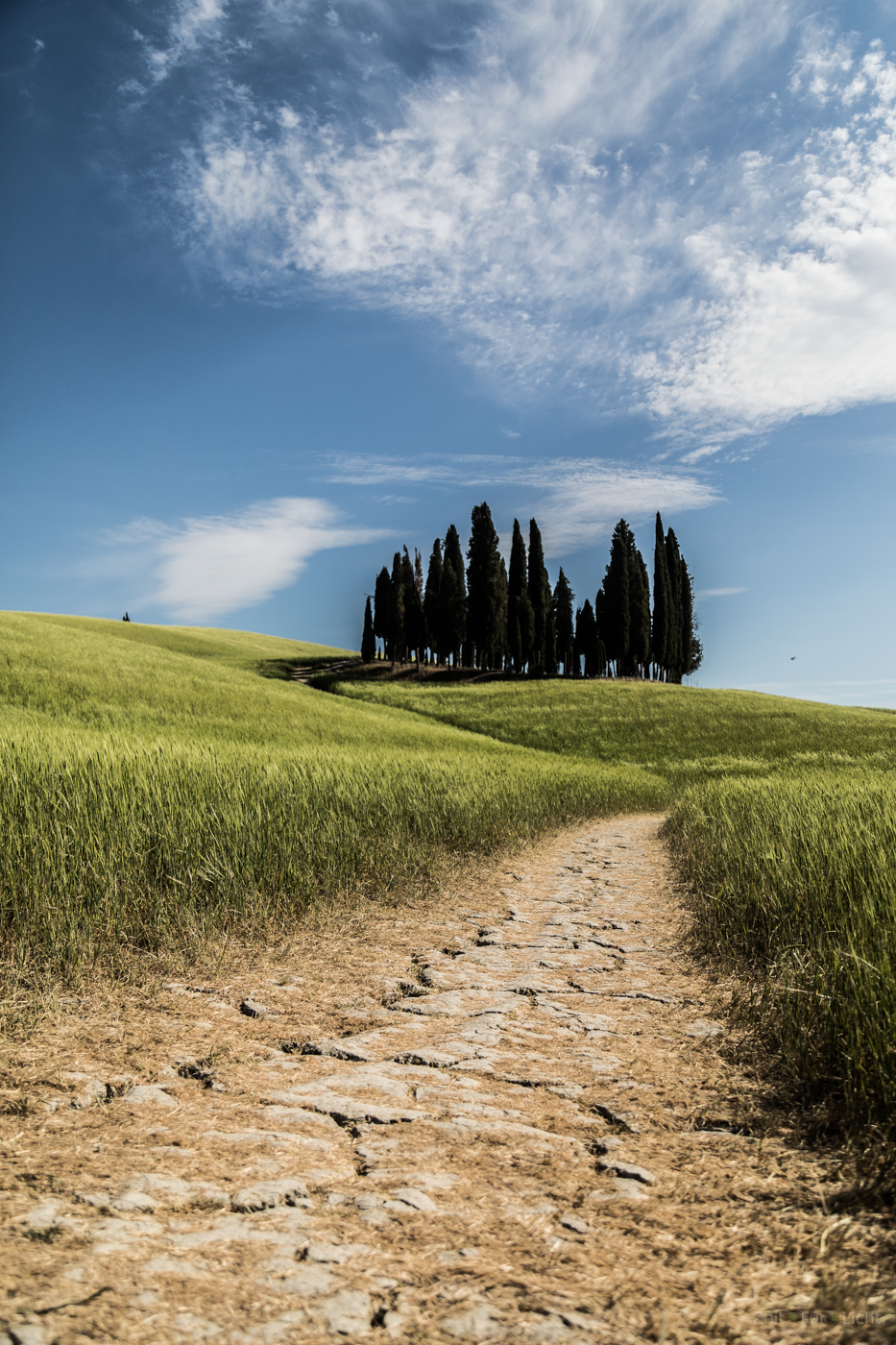 Toskanische Idylle Teil 5