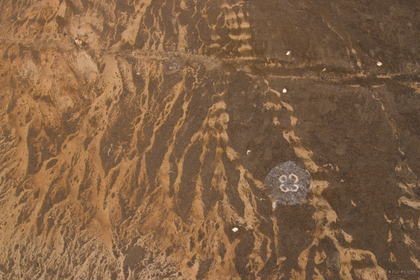 Fallschirmsprung über dem Hochgebirge